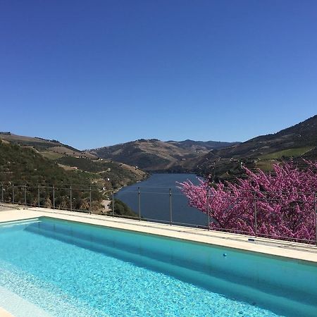 Quinta Da Marka Covas do Douro Exteriér fotografie