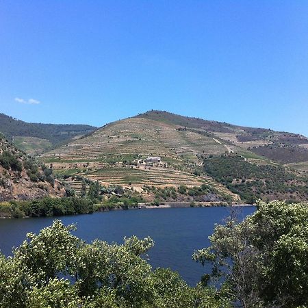 Quinta Da Marka Covas do Douro Exteriér fotografie