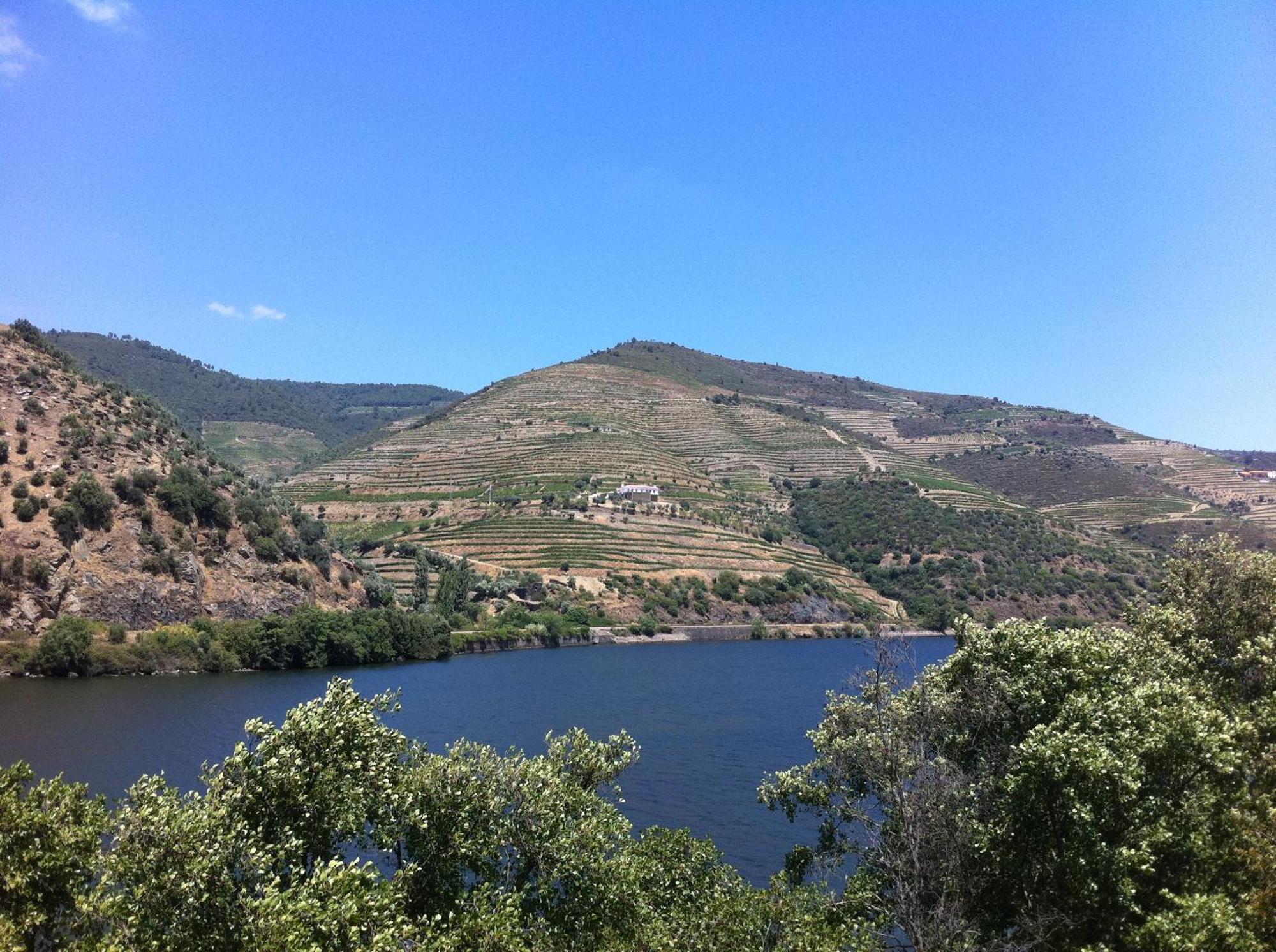 Quinta Da Marka Covas do Douro Exteriér fotografie